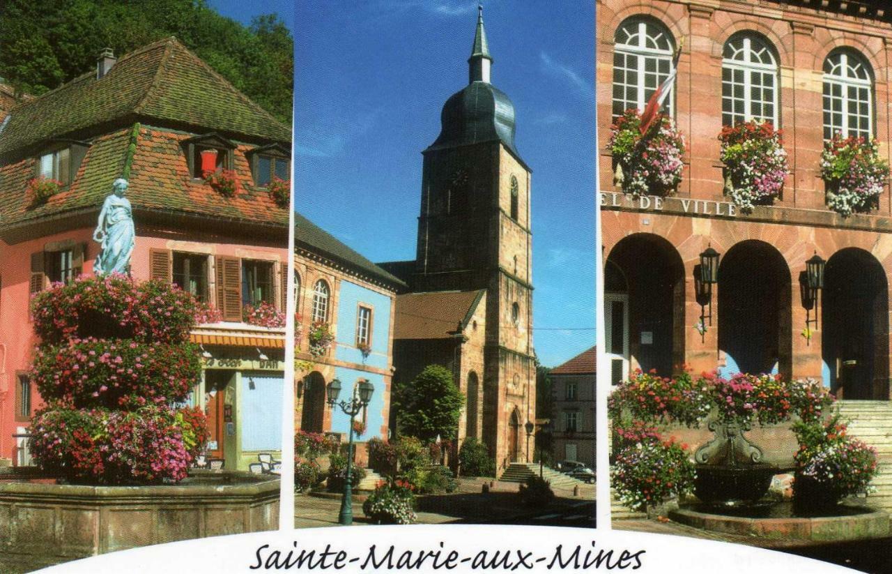 Les Hortensias Sainte-Marie-aux-Mines Esterno foto