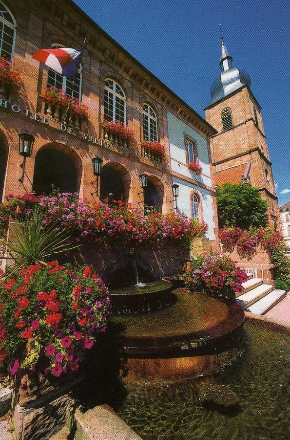 Les Hortensias Sainte-Marie-aux-Mines Esterno foto